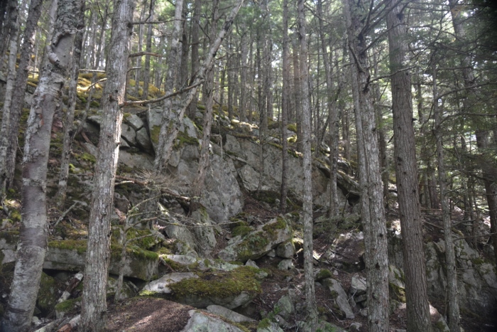 Smuggler's Cove 